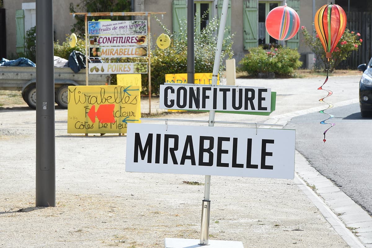 Panneau publicitaires des producteurs locaux affichant confiture et mirabelles